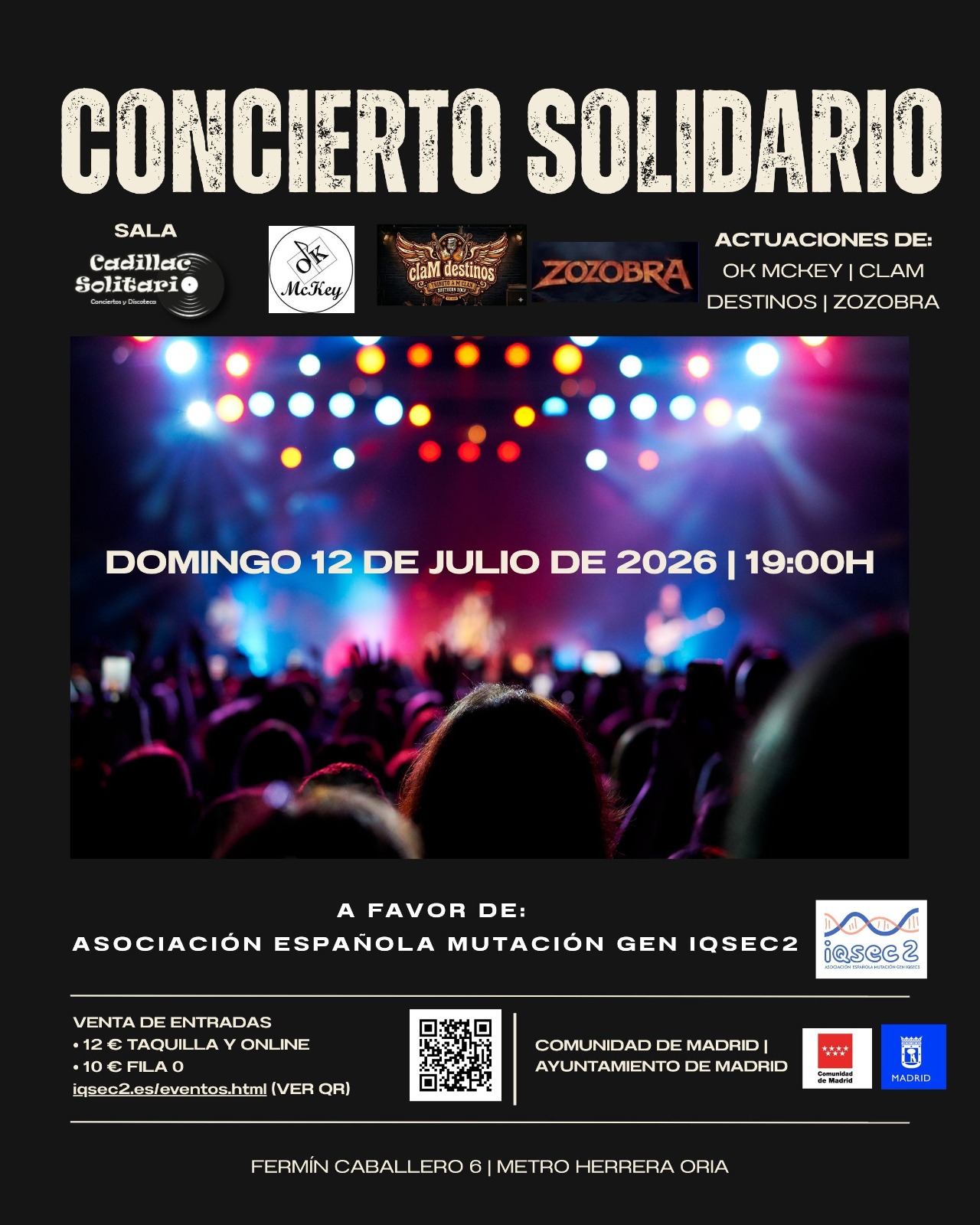 Cartel Concierto Solidario IQSEC2